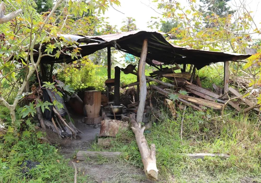Edeso, entrega de estufas eficientes a familias rionegreras