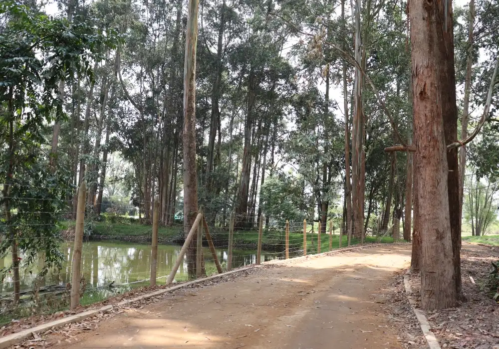 Edeso, Galería Ciclo Ruta Rionegro - El Retiro
