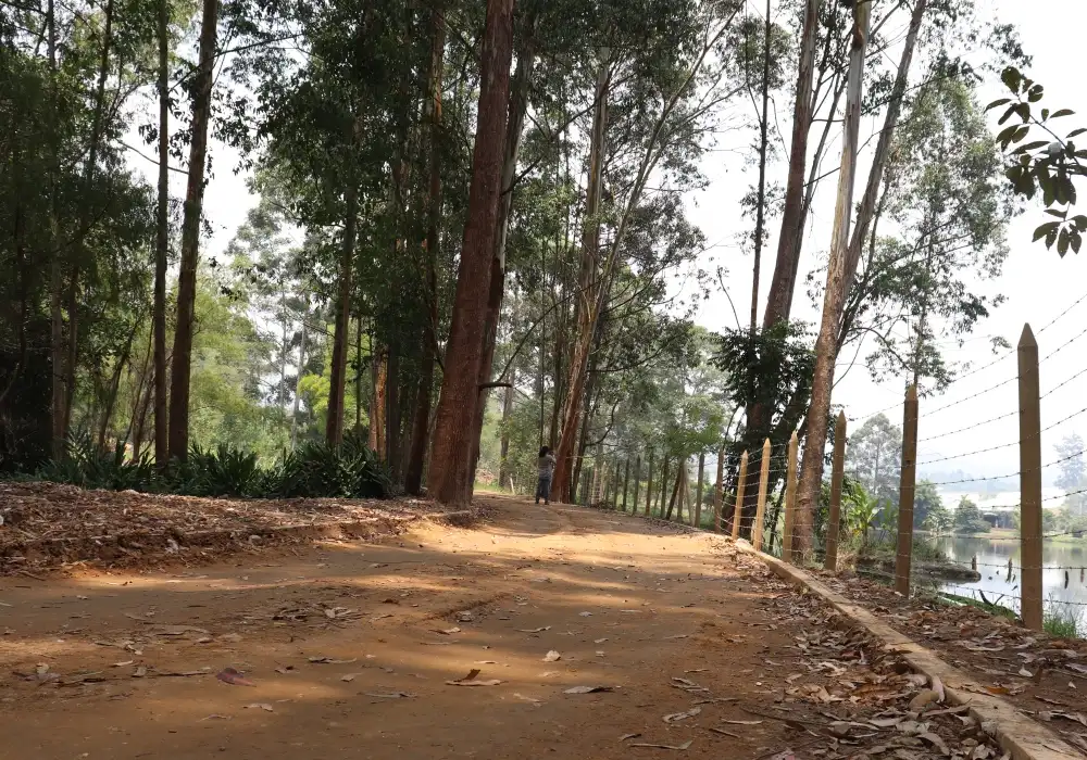 Edeso, Galería Ciclo Ruta Rionegro - El Retiro