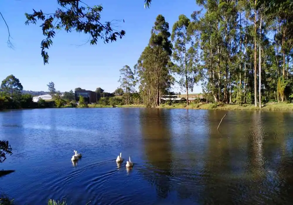 Edeso, Galería Ciclo Ruta Rionegro - El Retiro